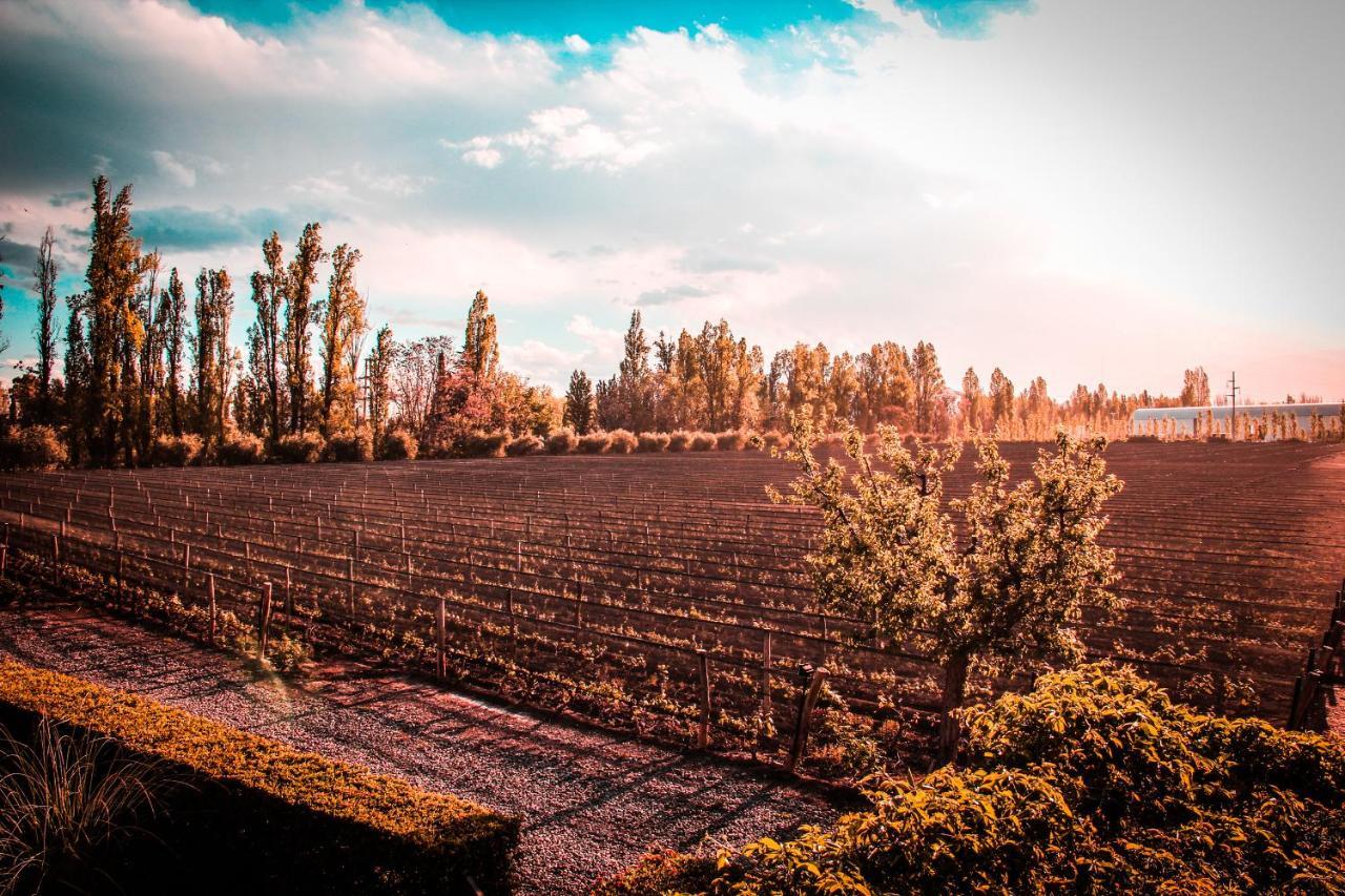 Finca Terrada Чакрас де Кория Екстериор снимка
